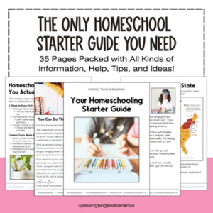 The Only Homeschool Starter Guide You'll Need